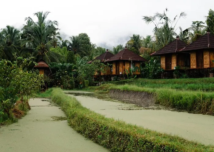 Puri Sunny Camp Munduk