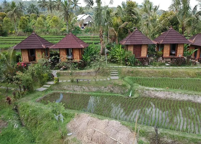 Puri Sunny Camp Lodge Munduk