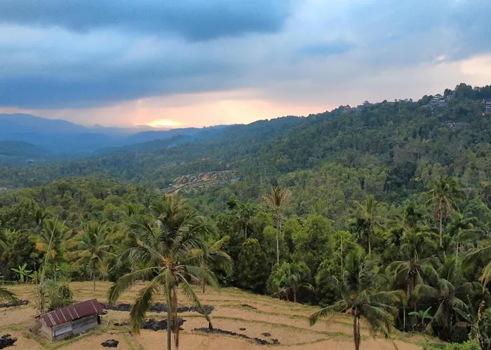 Lodge Puri Sunny Camp