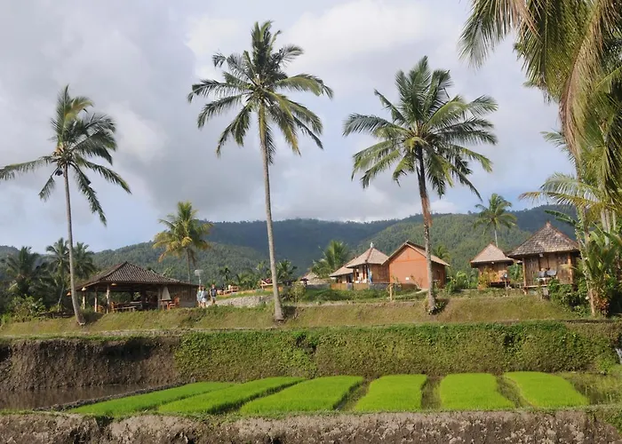 Puri Sunny Camp Munduk