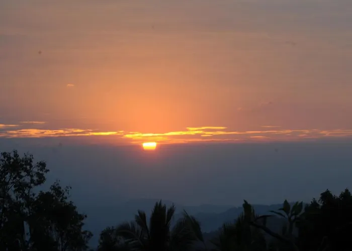 Puri Sunny Camp