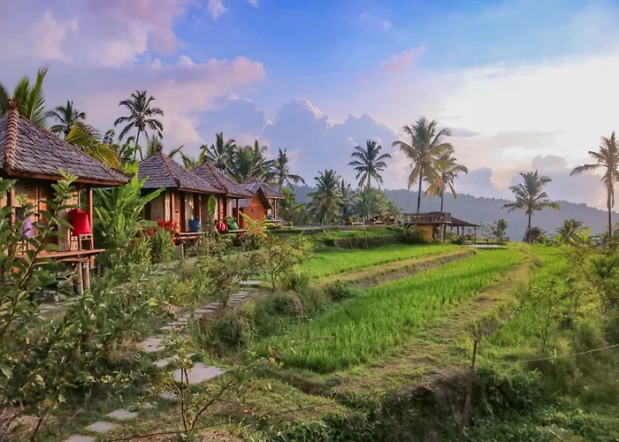 Puri Sunny Camp * Munduk