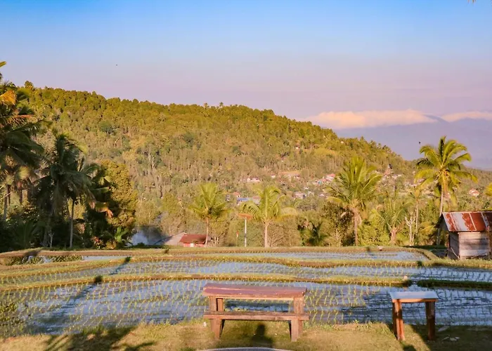 Puri Sunny Camp * Munduk